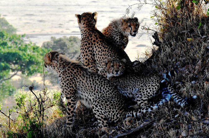 2 Days Lake Nakuru Safari - What makes this safari worth considering