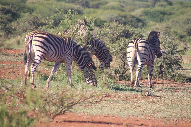 2 Days Lake Nakuru Safari - What the $455.83 price includes