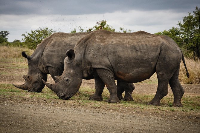 2 Days Lake Nakuru Safari - The overnight lodge and all-inclusive setup
