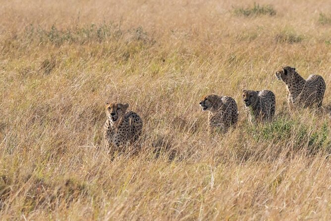 2 Days safari of Masai Mara - The 6:30 am journey from Nairobi to Narok