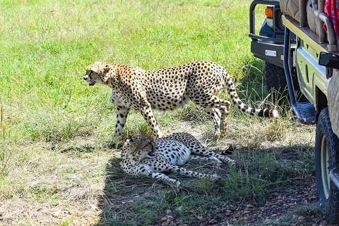 2 Days safari of Masai Mara - Arriving at the Masai Mara before lunch