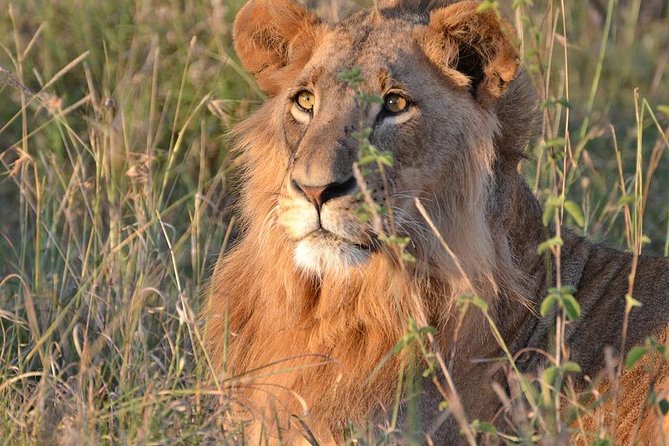 2 Days Tsavo east Jeep Safari (minimum 2 persons) - Bachuma Gate and the road to Aruba Dam