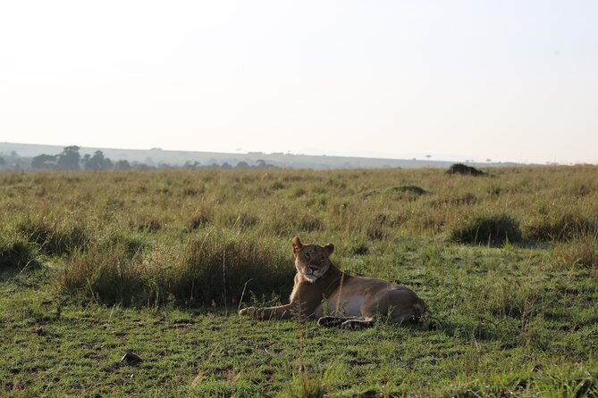 2 Days Tsavo East National Park Tour From Mombasa/Diani (1 Night) - Lunch and an overnight lodge near the park