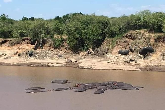 3-DAY Best Maasai Mara Safari (POPULAR) - What the $200 price really covers