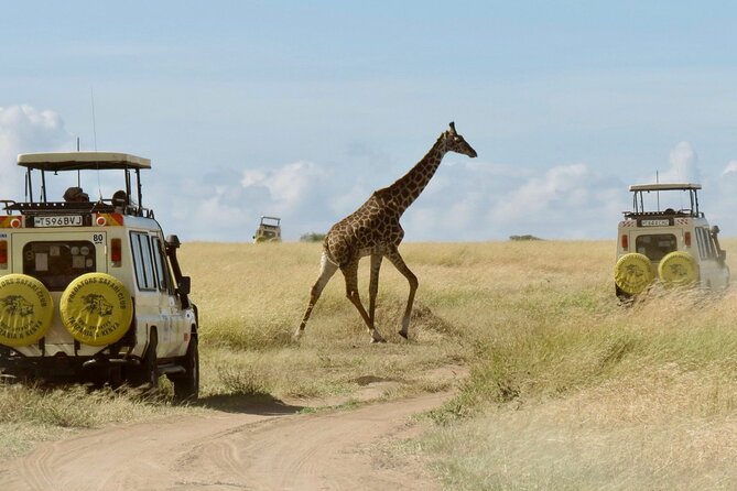 3-Day Budget Maasai Mara Joining Safari with 4x4 LandCruiser Jeep - Five things to know before booking