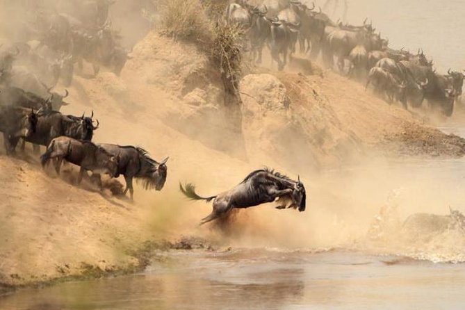 3-Day Budget Maasai Mara Joining Safari with 4x4 LandCruiser Jeep - Day three and the long return to Nairobi