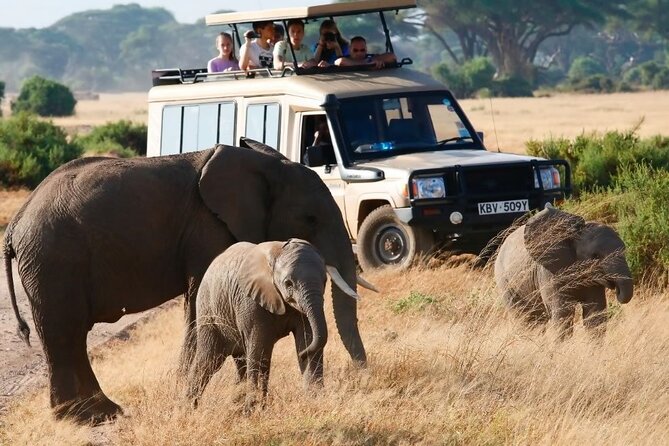 3-Day Budget Maasai Mara Joining Safari with 4x4 LandCruiser Jeep - Nairobi to the Great Rift Valley viewpoint