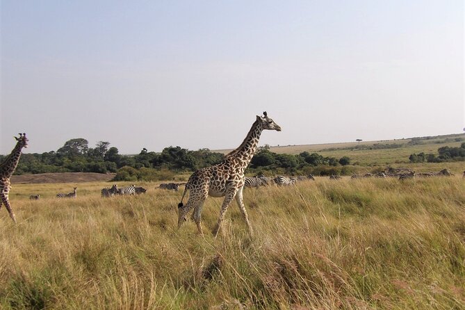 3 Day Exploring Amboseli National Park - Why Amboseli works so well in three days