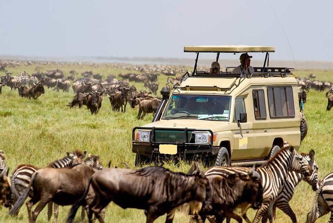 3 Day Maasai Mara Group Joining Camping Safari - Daily Departures - Nairobi to the Mara, with a Great Valley Viewpoint stop