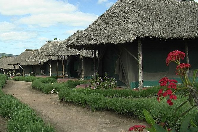 3 Day Maasai Mara Group Joining Camping Safari - Daily Departures - Camping comfort, group size, and the daily rhythm