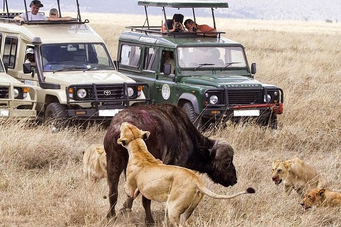 3 Day Maasai Mara Group Joining Camping Safari - Daily Departures - Your first game drive near the tented camp