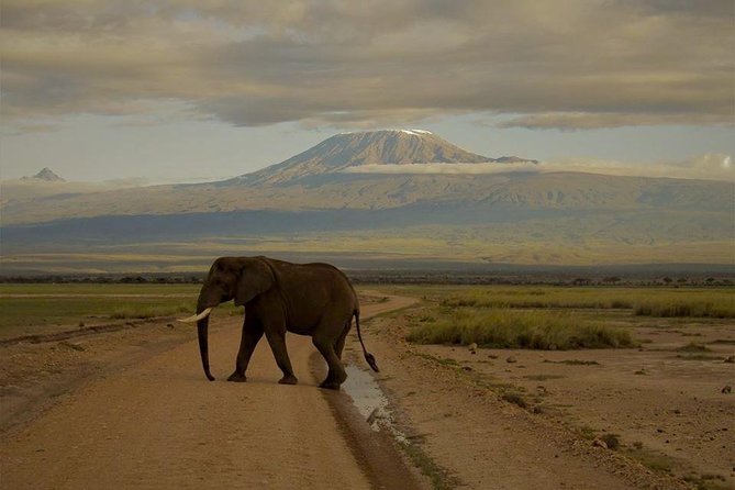 3-Day Maasai Mara Guided Safari From Nairobi - Why this three-day Mara plan works