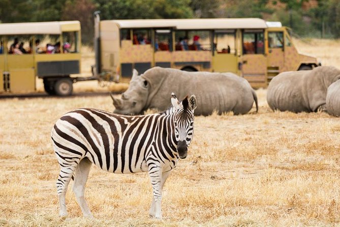 3-Day Maasai Mara Guided Safari From Nairobi - Day 3: A final choice before returning to Nairobi