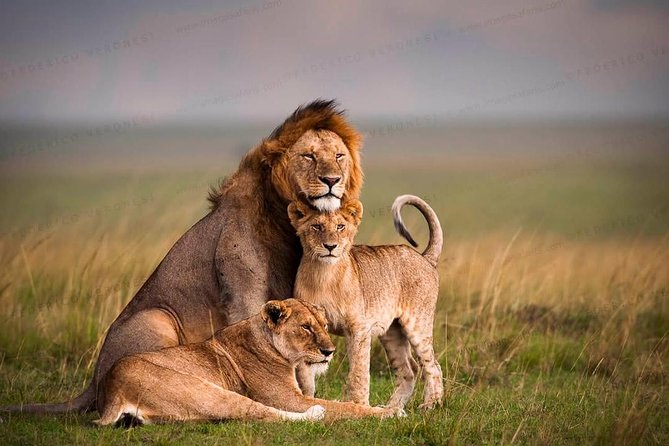 3-Day Maasai Mara Guided Safari From Nairobi - Tented accommodation: keep expectations practical