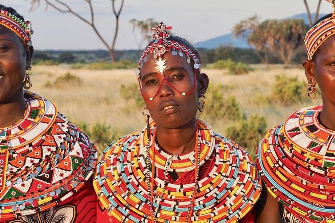3-Day Maasai Mara Guided Safari From Nairobi - The guide and vehicle can shape the whole safari