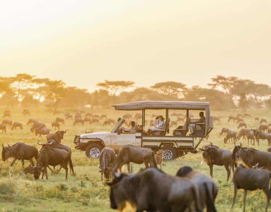 3-Day Maasai Mara Joining Safari at Enkorok Luxury Camp - Enkorok Luxury Camp and the accommodation choice