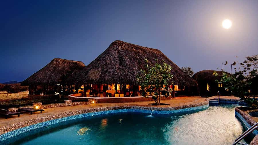 3-Day Maasai Mara Joining Safari at Enkorok Luxury Camp - The guide and vehicle can make or break the safari