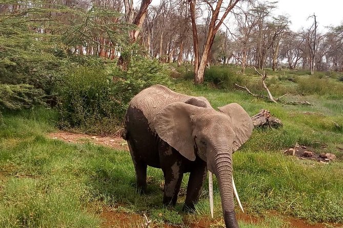 3 Day Maasai Mara & Migration safari - What the $430 price gets you