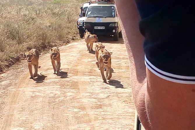 3 Day Maasai Mara & Migration safari - The best fit for this safari
