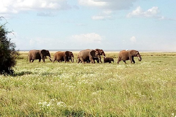 3 Day Maasai Mara & Migration safari - Leaving Nairobi at 7:30 in the morning