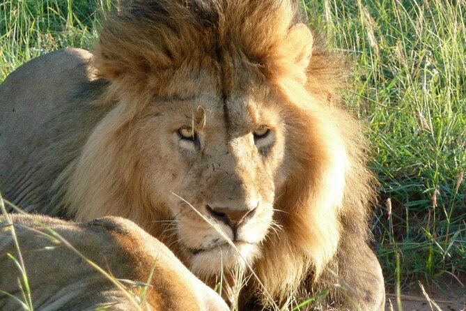 3 Day Maasai Mara Shared Safari In a Safari Van - Leaving Nairobi for the Great Rift Valley viewpoint