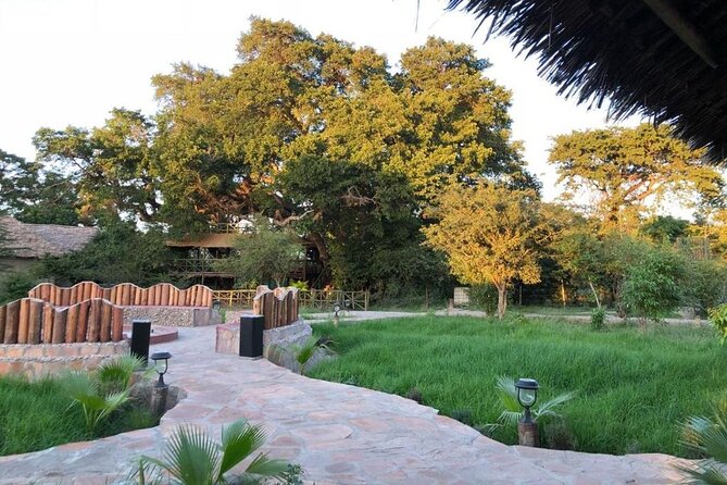 3 DAY MASAI MARA BY AIR (from nairobi) (MINIMUM 2 PAX) - Mara Sweet Acacia Lodge and the included meals