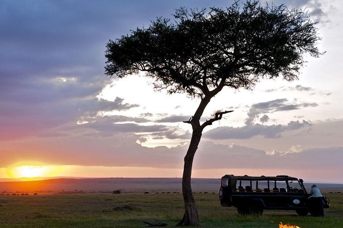 3 DAY MASAI MARA BY AIR (from nairobi) (MINIMUM 2 PAX) - Who should book this safari?
