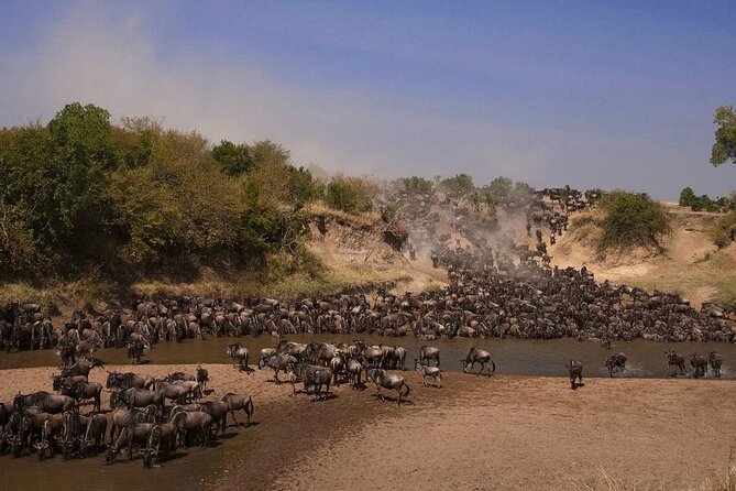 3-Day Masai Mara Group Safari with Pick Up - Key points before you book
