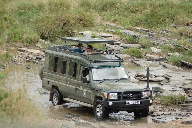 3-Day Masai Mara Group Safari with Pick Up - The first afternoon game drive