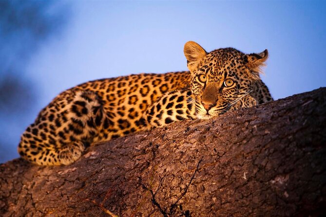 3-Day Masai Mara Group Safari with Pick Up - Leaving Nairobi for the Great Rift Valley