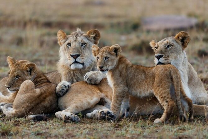 3-Day Masai Mara Jeep Safari - Day 1: From Nairobi to the Great Rift Valley