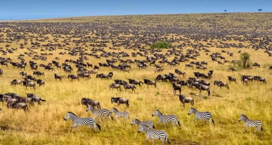 3-Day Masai Mara & Lake Naivasha Safari on 4x4 Jeep - Why This Three-Day Route Works