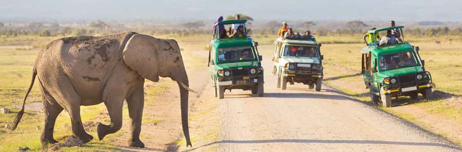 3-Day Masai Mara & Lake Naivasha Safari on 4x4 Jeep - Accommodation, Meals, and Daily Comfort