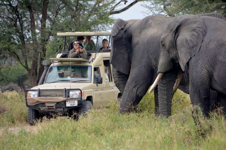 3-Day Masai Mara & Lake Naivasha Safari on 4x4 Jeep - Day One: Nairobi, the Rift Valley, and the First Mara Drive