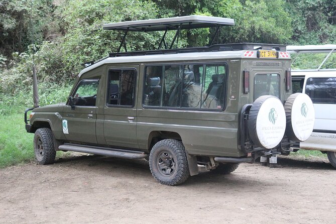 3-Day Masai Mara Luxury Safari - Day Two: A Full Day Searching for the Big Five