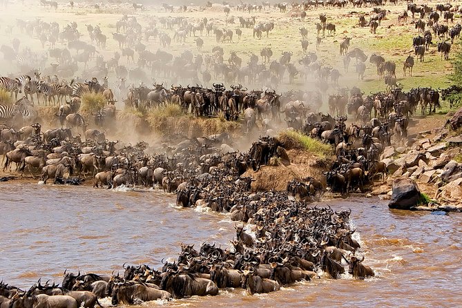 3-day Masai Mara Safari Tour to see the big five and wildebeest migration - Why three days is enough for a first look at the Mara