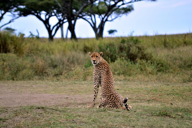 3-day Masai Mara Safari Tour to see the big five and wildebeest migration - Day 1: The Great Rift Valley and a first Mara game drive