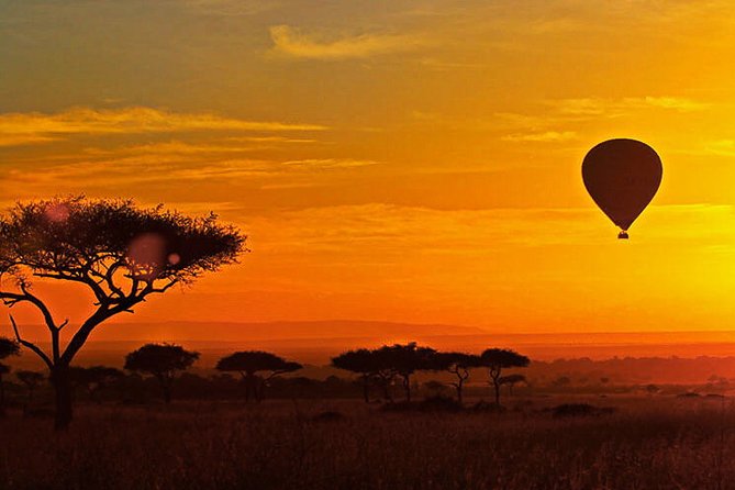 3-day Masai Mara Safari Tour to see the big five and wildebeest migration - Is $700 fair for what you receive?
