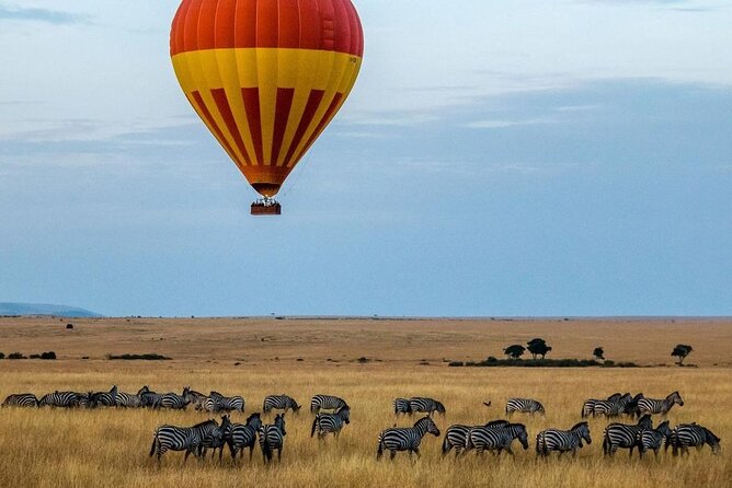 3-Day Masai Mara Safari Tour - Entering the Masai Mara on day one