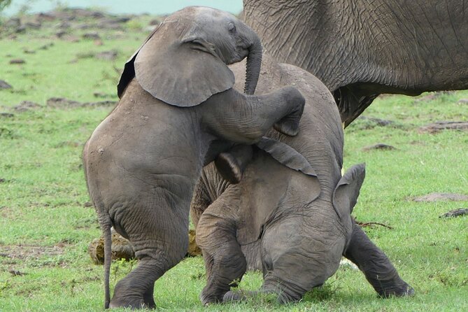 3 Day Private 4x4 Jeep Tour in Masai Mara Safari - Why Masai Mara works so well in three days
