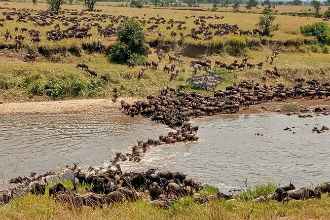 3 Day Private 4x4 Jeep Tour in Masai Mara Safari - Leaving Nairobi for the Mara