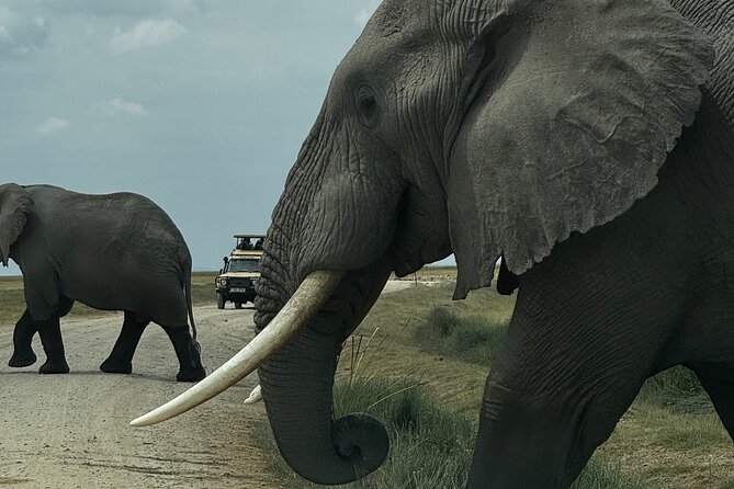 3 Day Private Tour in Maasai Mara with Lodge Luxury with Jeep - Key points to know before you book