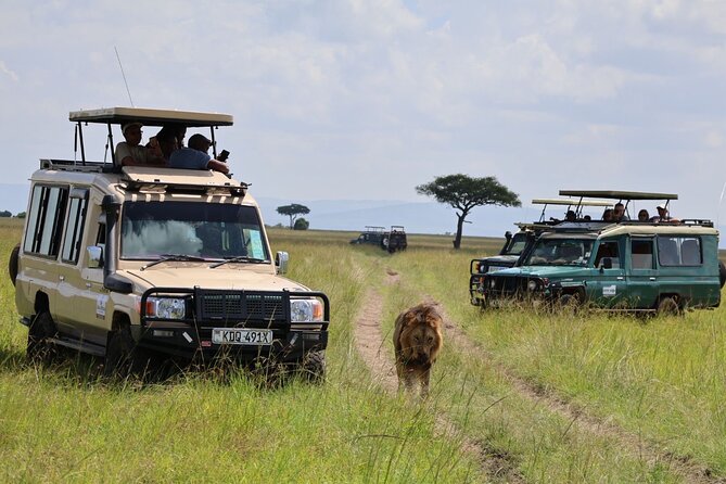 3 Day Private Tour in Maasai Mara with Lodge Luxury with Jeep - Day two: the full-day wildlife test