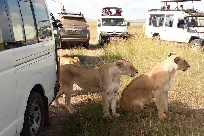 3 Day Private Wild Safari Tour in Maasai Mara - Rift Valley views above the escarpment