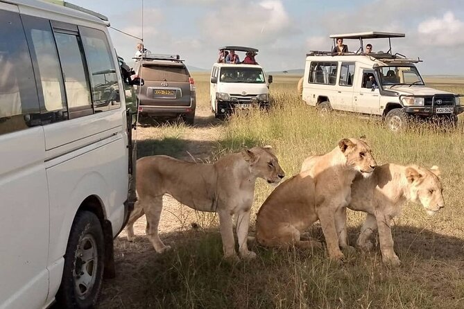 3 Day Private Wild Safari Tour in Maasai Mara - Choosing Lake Naivasha or Kericho