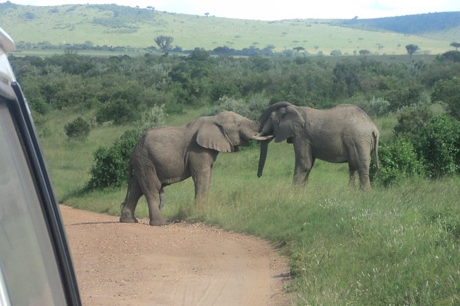 3-Day Safari Trip to Masai Mara National Reserve from Nairobi - What the $390 price really covers