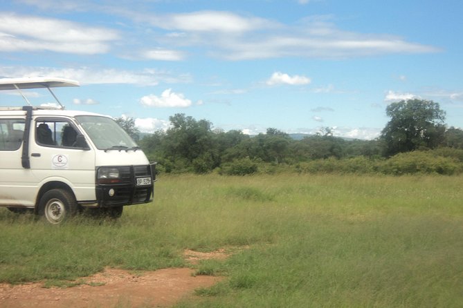 3-Day Safari Trip to Masai Mara National Reserve from Nairobi - Group size, comfort, and the safari minivan