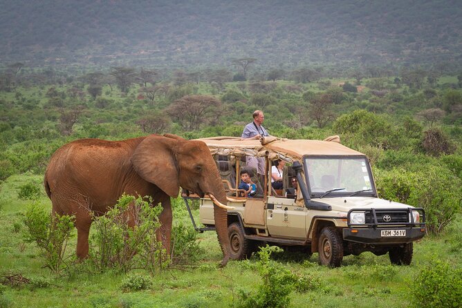 3-Day Samburu Luxury Safari - Key points to know before you book