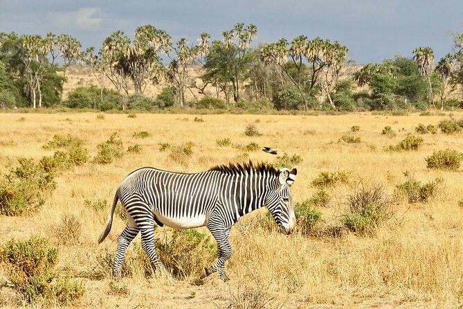 3 Day Samburu Safari - What the $850.90 price includes