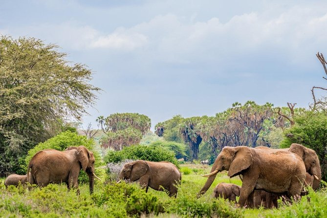 3 Day Samburu Safari - Booking, timing, and cancellation points